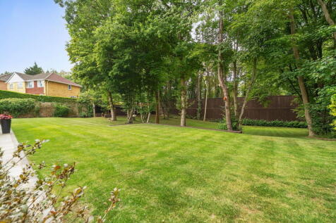 Property Image 41