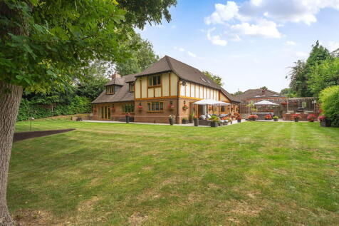 Property Image 42