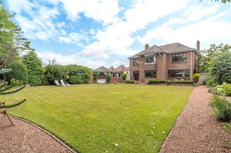 Back Garden