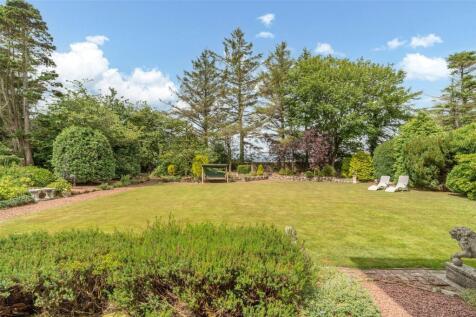 Back Garden