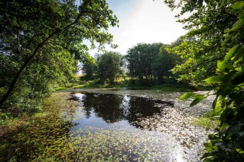 Pond