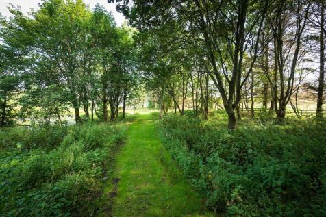 Woodland