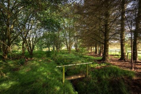 Woodland