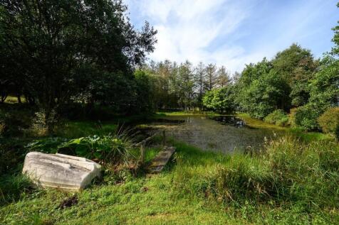 Pond