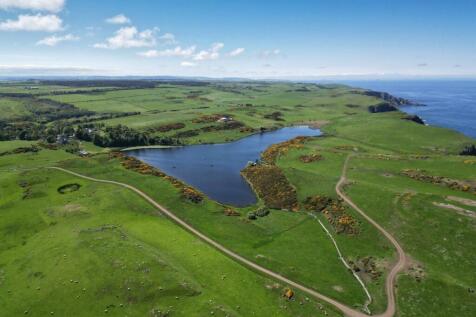 Drone Image