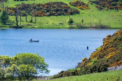 View Of Loch