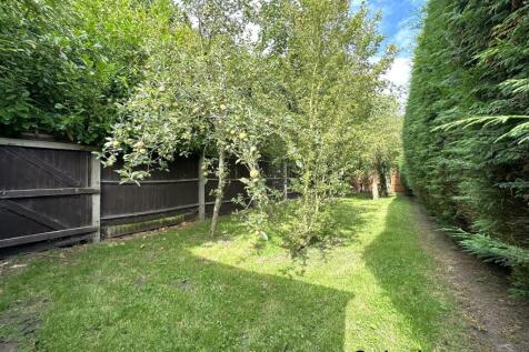 Orchard 667