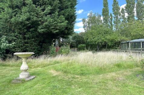 Lovely Wild Garden 164