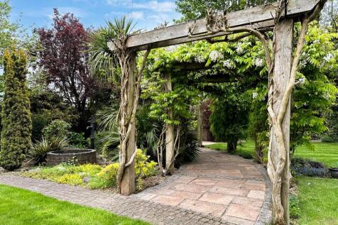 Pergola &amp; Wisteria In Garden 350