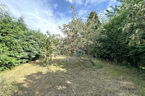 Large Garden/ Orchard 512