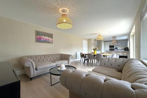 Expansive Open-Plan Living Space 491