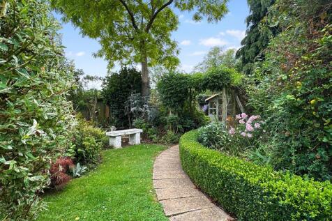 Established Garden 919
