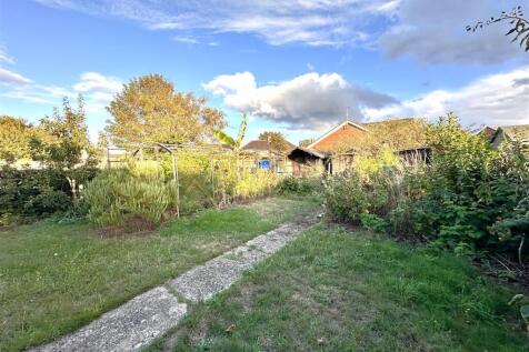 Mature Rear Garden 073