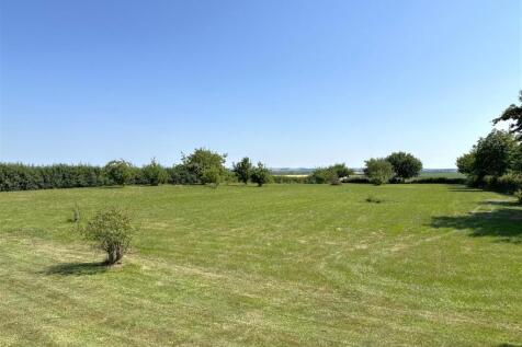 Magnificent Rear Garden 017