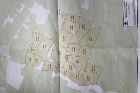 fields.JPG