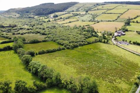 aerial meadow.JPG