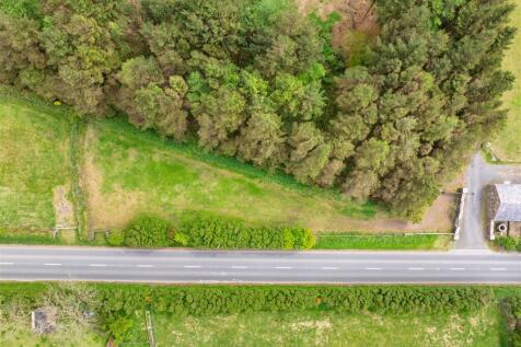 DJI_20250502101101_0037_D.jpg