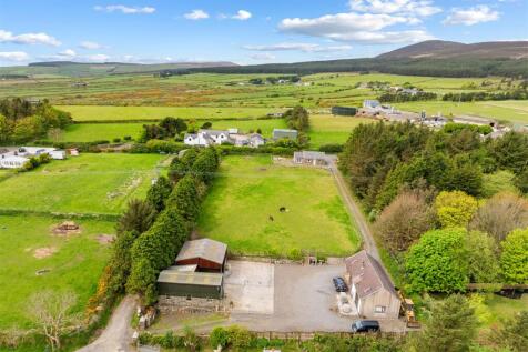 DJI_20250502100204_0007_D.jpg