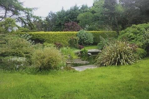 pond cropped.jpg
