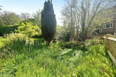 Garden pond