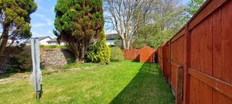 garden 2.jpg