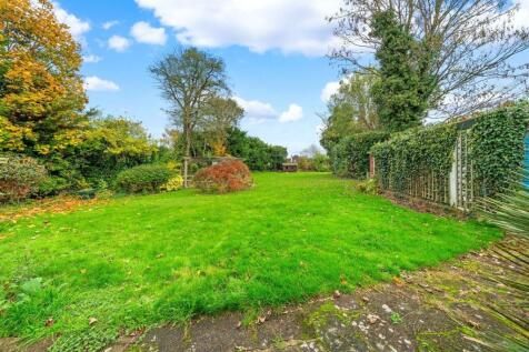 garden 1.jpg