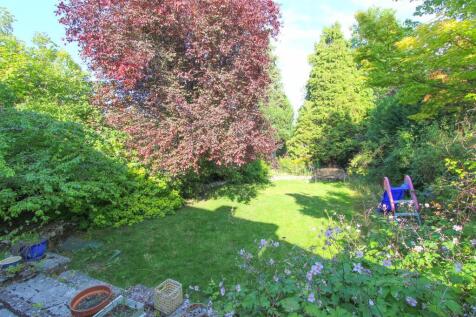 garden.jpg
