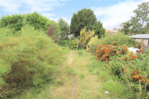 garden.JPG