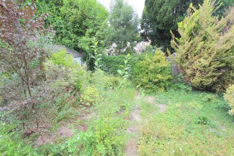 garden b.JPG