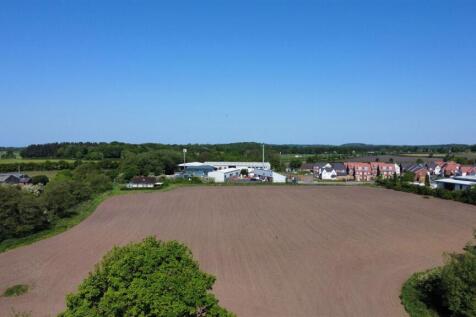 Pine Dale Views