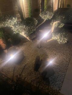 Lakeside Court Night