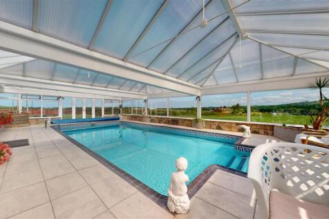Red Cat Lane Swimming Pool