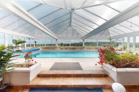 Red Cat Lane Swimming Pool