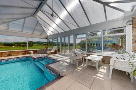 Red Cat Lane Swimming Pool