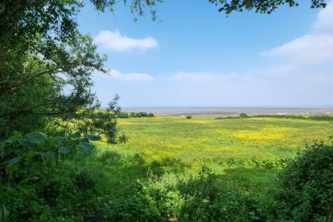 View From The Rear Garden