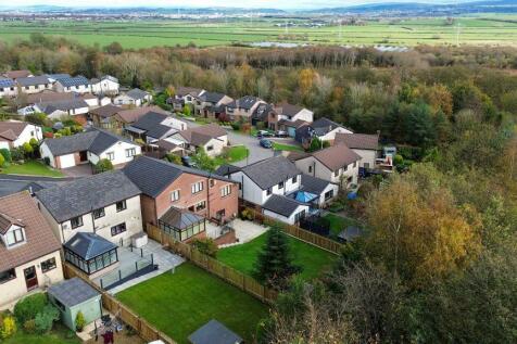 Aerial Picture