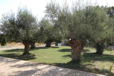 Property Image 45