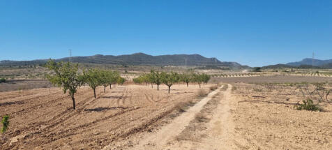 Property Image 5