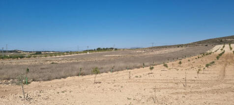 Property Image 4