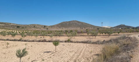 Property Image 6