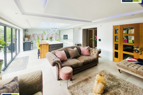Kitchen &amp; Living Room