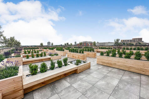 Roof Terrace