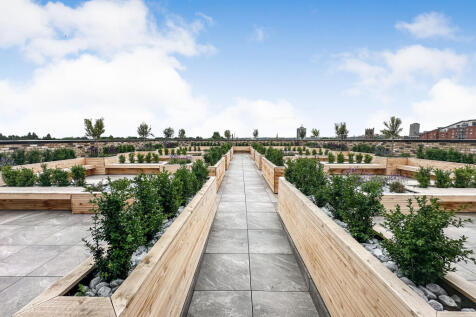 Roof Terrace