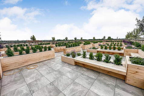 Roof Terrace