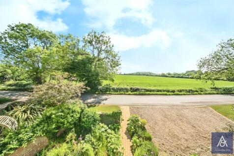 Driveway/View