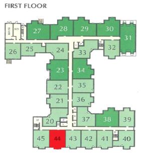 Site Plan 1st Floor