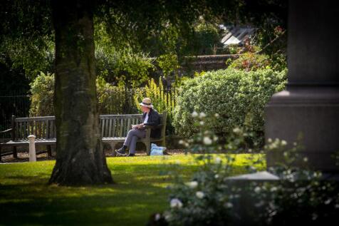 Park and gardens local area photography in Norfolk