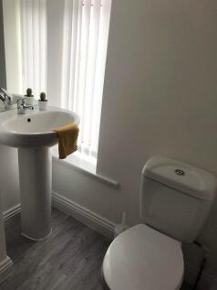 toilet.JPG
