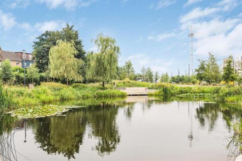 Pond.jpg