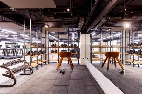 4. the spring gym.jpg